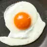 Egg님의 프로필 사진